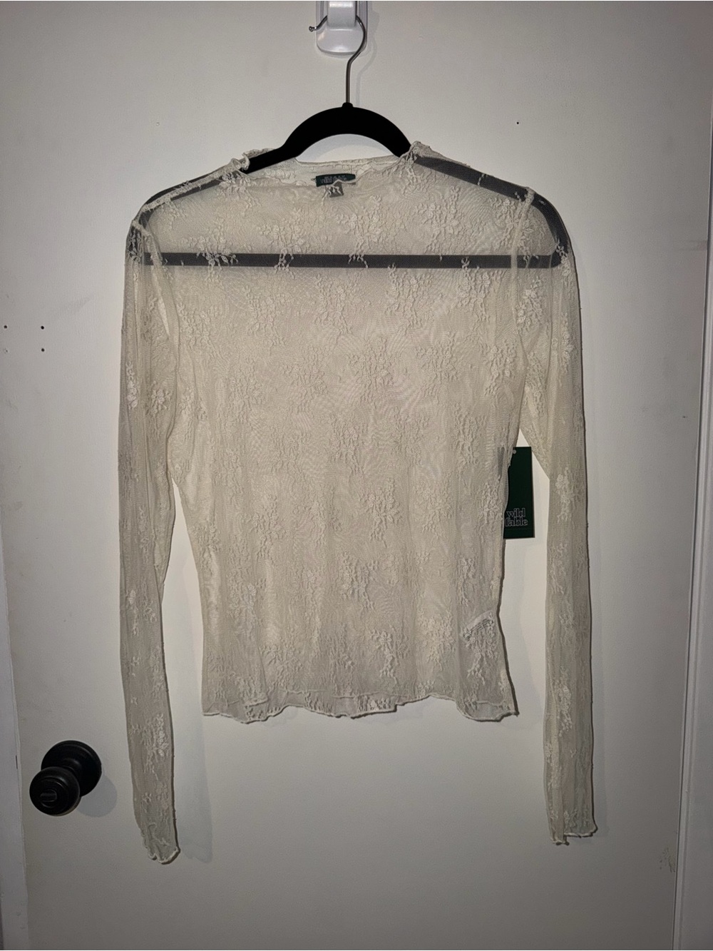 wild fable Sheer Lace Long-Sleeve Top in Cream - Picture 1 of 2